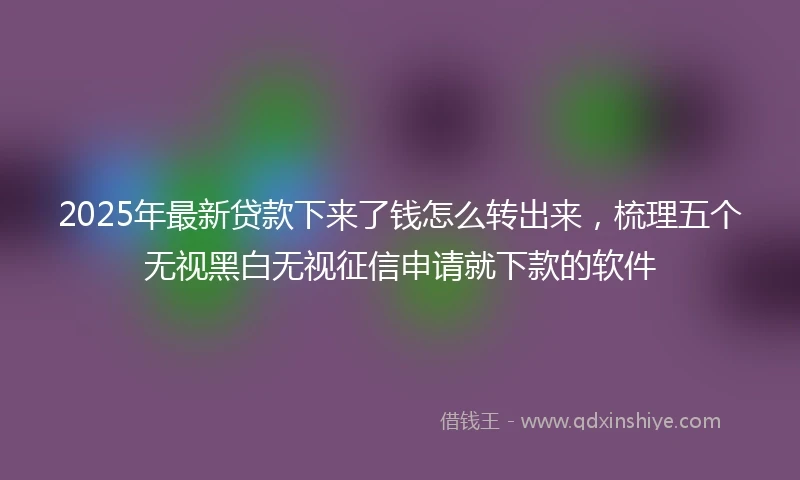 2025年最新贷款下来了钱怎么转出来，梳理五个无视黑白无视征信申请就下款的软件