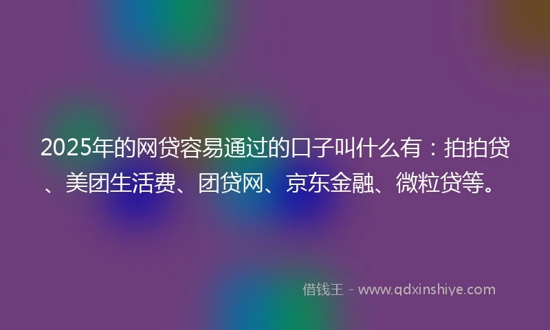 2025年的网贷容易通过的口子叫什么有：拍拍贷、美团生活费、团贷网、京东金融、微粒贷等。