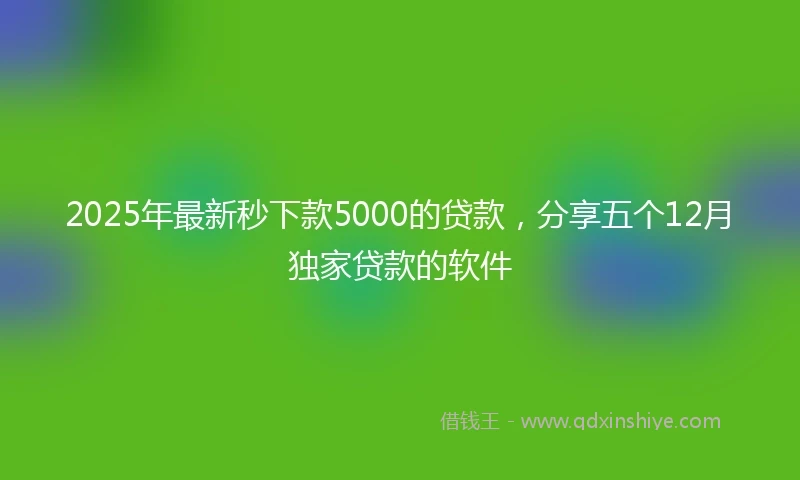 2025年最新秒下款5000的贷款，分享五个12月独家贷款的软件