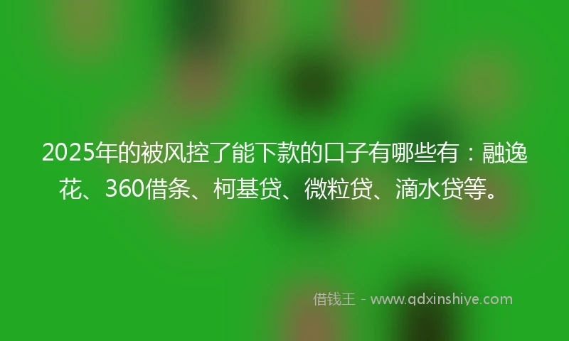 2025年的被风控了能下款的口子有哪些有：融逸花、360借条、柯基贷、微粒贷、滴水贷等。