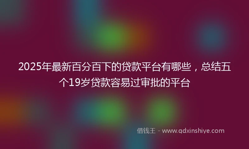 2025年最新百分百下的贷款平台有哪些，总结五个19岁贷款容易过审批的平台