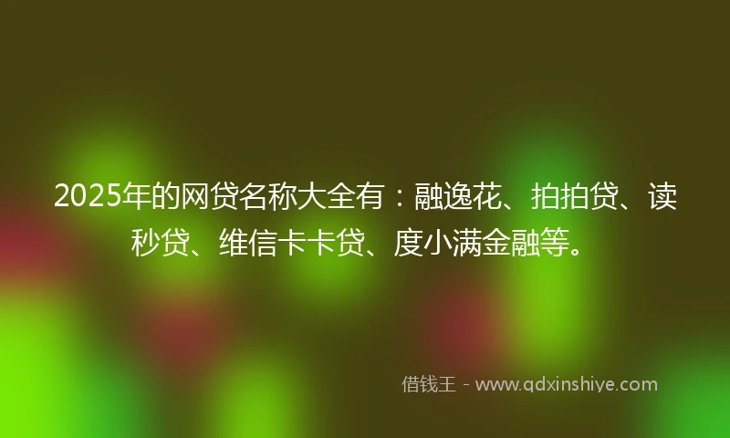 2025年的网贷名称大全有：融逸花、拍拍贷、读秒贷、维信卡卡贷、度小满金融等。