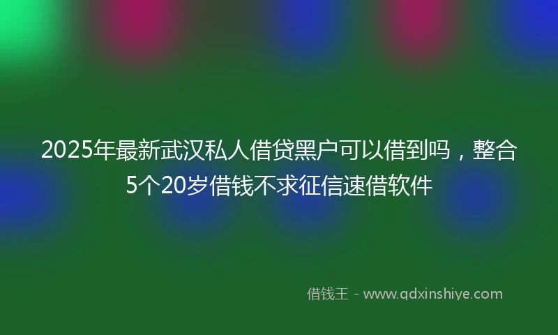 2025年最新武汉私人借贷黑户可以借到吗，整合5个20岁借钱不求征信速借软件