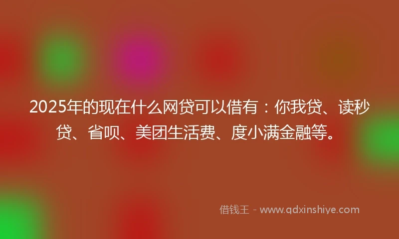2025年的现在什么网贷可以借有：你我贷、读秒贷、省呗、美团生活费、度小满金融等。