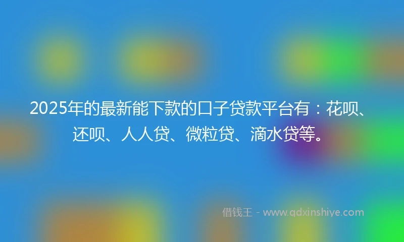 2025年的最新能下款的口子贷款平台有：花呗、还呗、人人贷、微粒贷、滴水贷等。