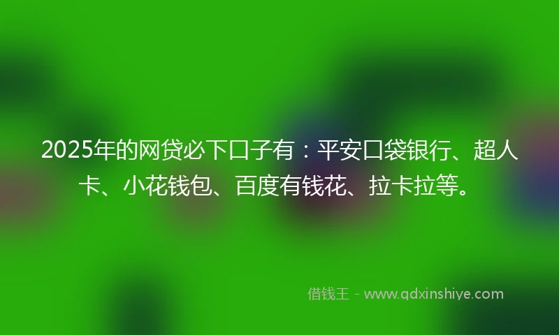 2025年的网贷必下口子有：平安口袋银行、超人卡、小花钱包、百度有钱花、拉卡拉等。