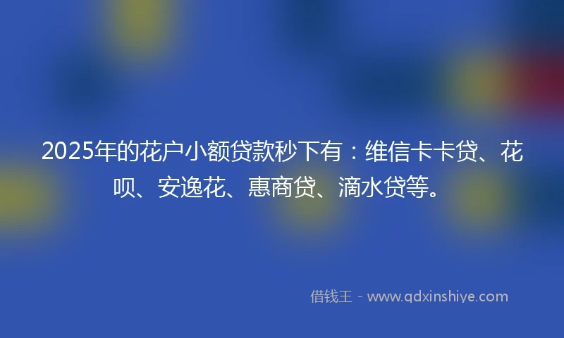 2025年的花户小额贷款秒下有：维信卡卡贷、花呗、安逸花、惠商贷、滴水贷等。