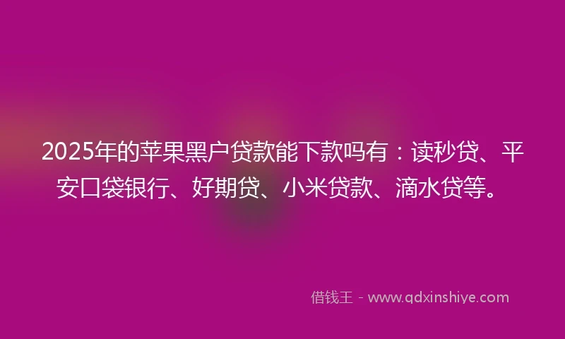 2025年的苹果黑户贷款能下款吗有：读秒贷、平安口袋银行、好期贷、小米贷款、滴水贷等。
