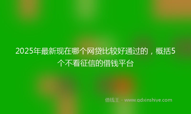 2025年最新现在哪个网贷比较好通过的，概括5个不看征信的借钱平台