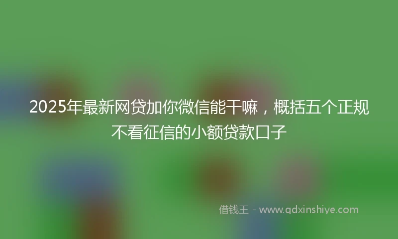 2025年最新网贷加你微信能干嘛,概括五个正规不看征信的小额贷款口子
