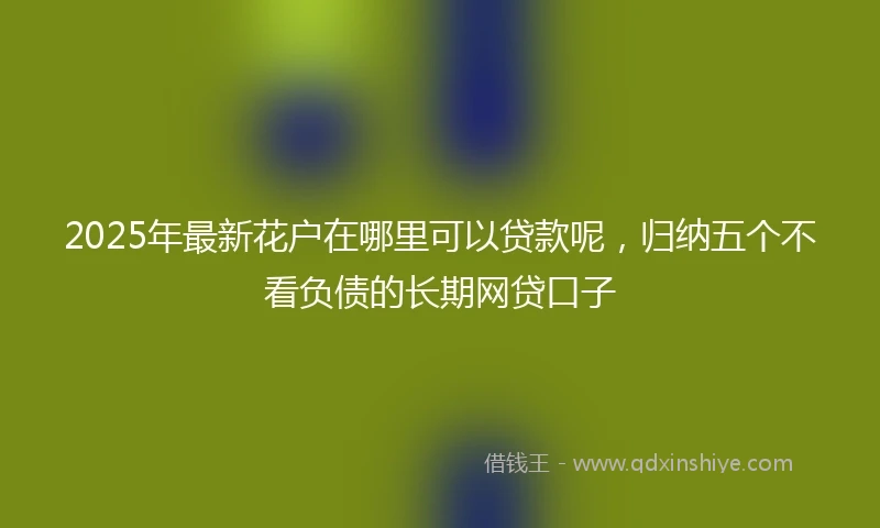 2025年最新花户在哪里可以贷款呢，归纳五个不看负债的长期网贷口子