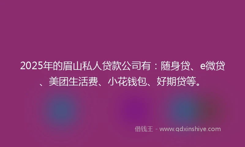 2025年的眉山私人贷款公司有：随身贷、e微贷、美团生活费、小花钱包、好期贷等。