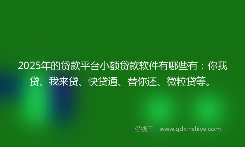 2025年的贷款平台小额贷款软件有哪些有：你我贷、我来贷、快贷通、替你还、微粒贷等。