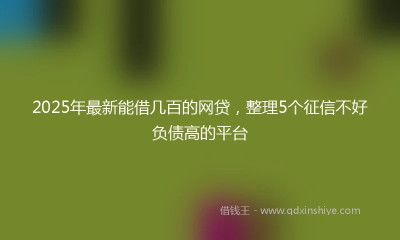 2025年最新能借几百的网贷，整理5个征信不好负债高的平台