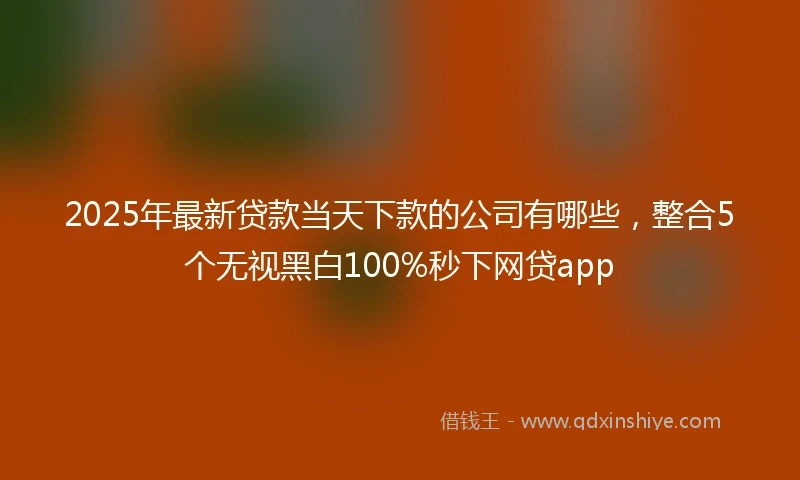 2025年最新贷款当天下款的公司有哪些，整合5个无视黑白100%秒下网贷app