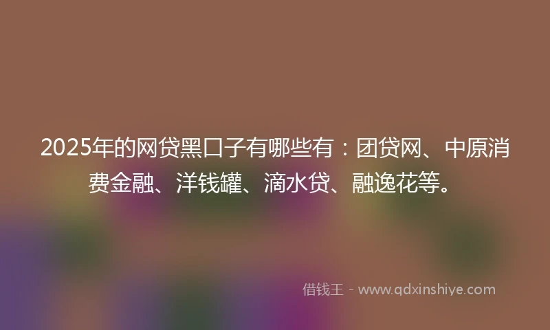 2025年的网贷黑口子有哪些有：团贷网、中原消费金融、洋钱罐、滴水贷、融逸花等。