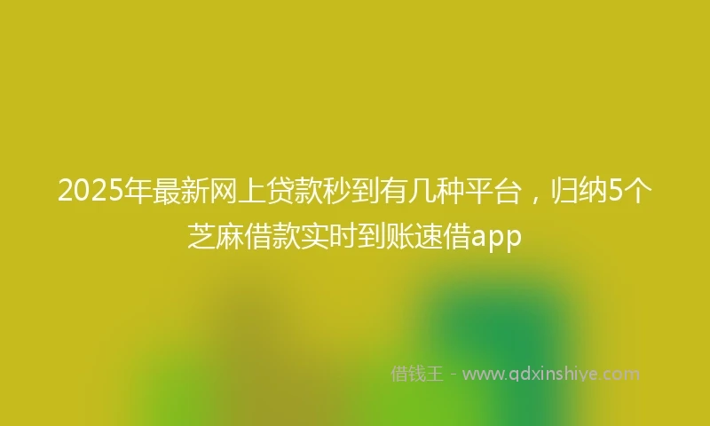 2025年最新网上贷款秒到有几种平台，归纳5个芝麻借款实时到账速借app