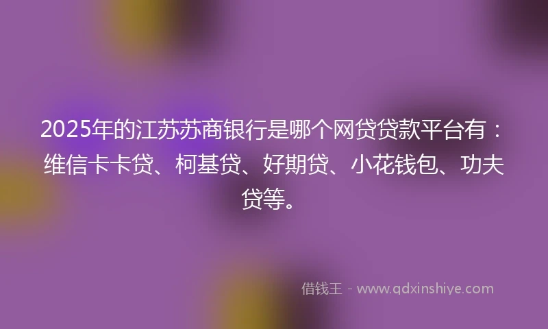 2025年的江苏苏商银行是哪个网贷贷款平台有：维信卡卡贷、柯基贷、好期贷、小花钱包、功夫贷等。