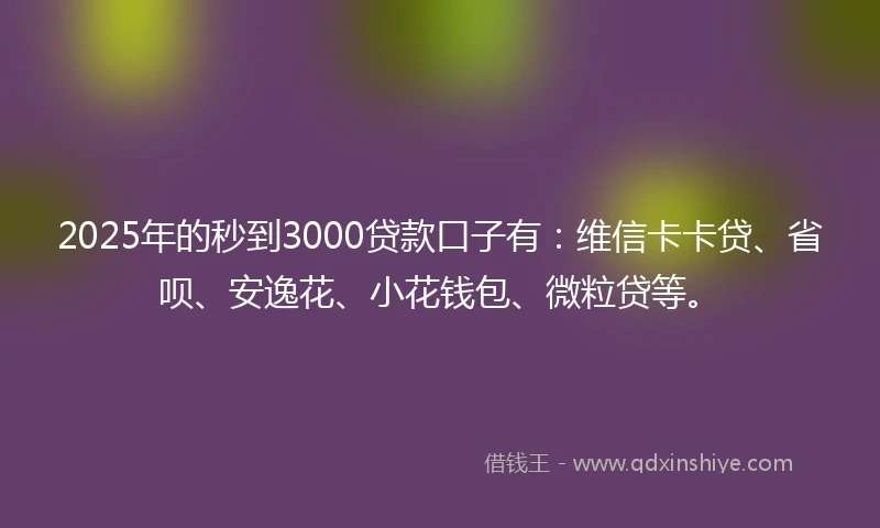 2025年的秒到3000贷款口子有：维信卡卡贷、省呗、安逸花、小花钱包、微粒贷等。