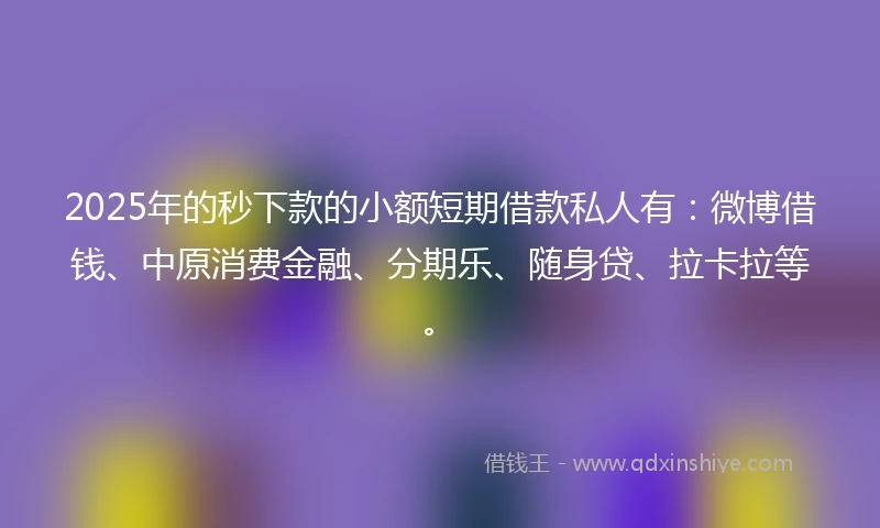 2025年的秒下款的小额短期借款私人有：微博借钱、中原消费金融、分期乐、随身贷、拉卡拉等。