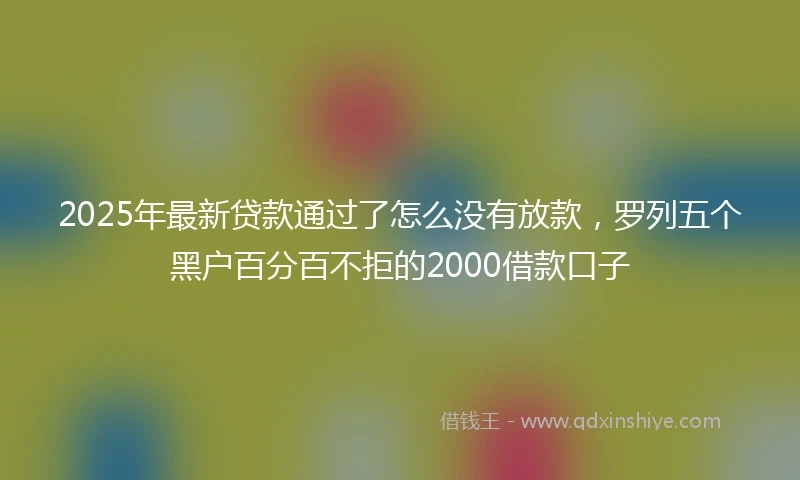 2025年最新贷款通过了怎么没有放款，罗列五个黑户百分百不拒的2000借款口子