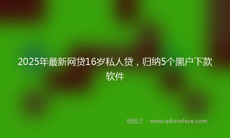 2025年最新网贷16岁私人贷，归纳5个黑户下款软件