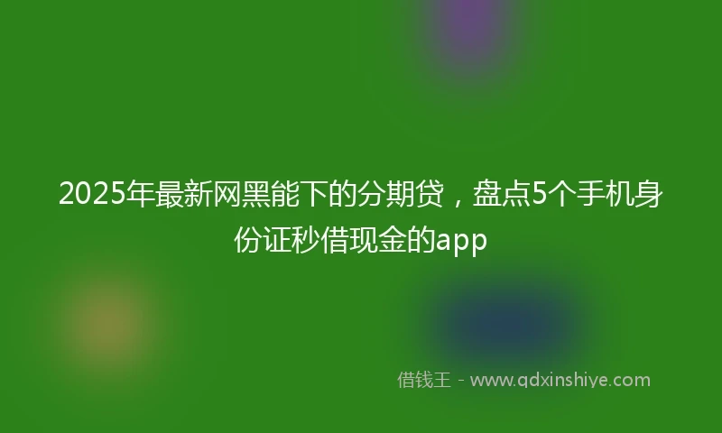 2025年最新网黑能下的分期贷，盘点5个手机身份证秒借现金的app