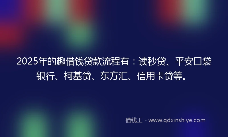 2025年的趣借钱贷款流程有：读秒贷、平安口袋银行、柯基贷、东方汇、信用卡贷等。