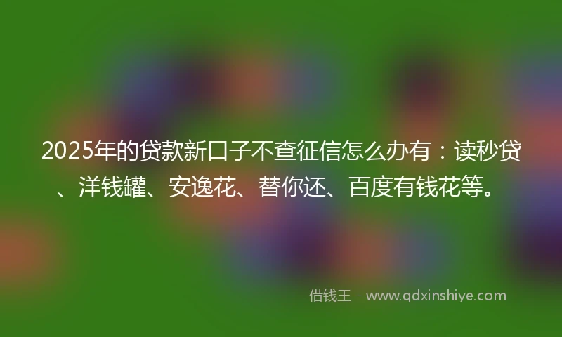 2025年的贷款新口子不查征信怎么办有：读秒贷、洋钱罐、安逸花、替你还、百度有钱花等。
