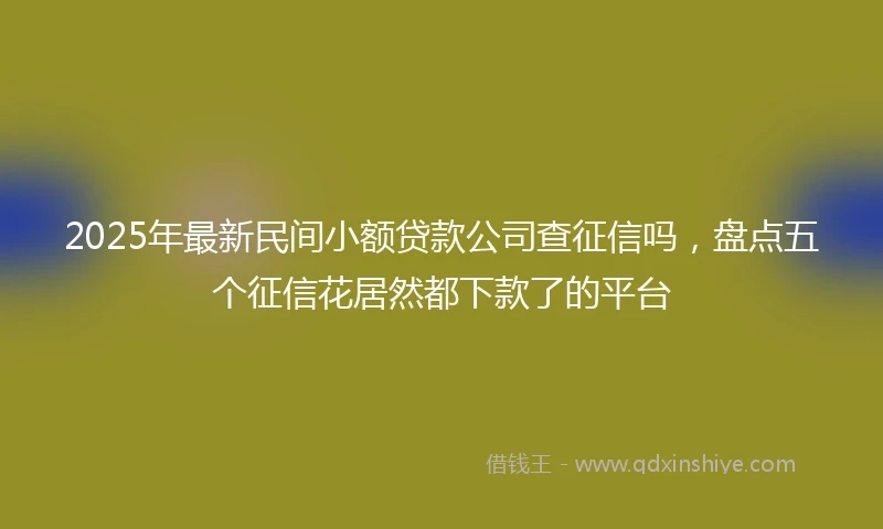 2025年最新民间小额贷款公司查征信吗，盘点五个征信花居然都下款了的平台