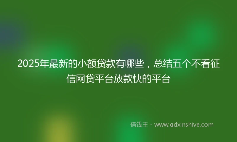 2025年最新的小额贷款有哪些，总结五个不看征信网贷平台放款快的平台