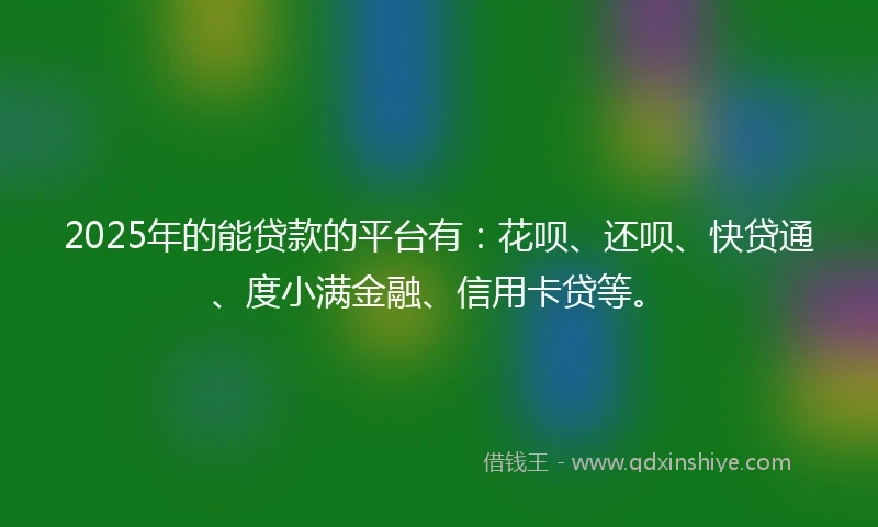 2025年的能贷款的平台有：花呗、还呗、快贷通、度小满金融、信用卡贷等。