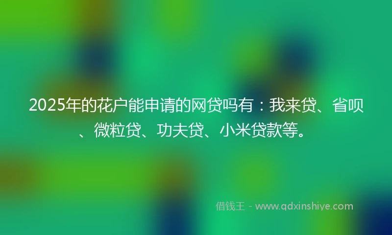 2025年的花户能申请的网贷吗有：我来贷、省呗、微粒贷、功夫贷、小米贷款等。