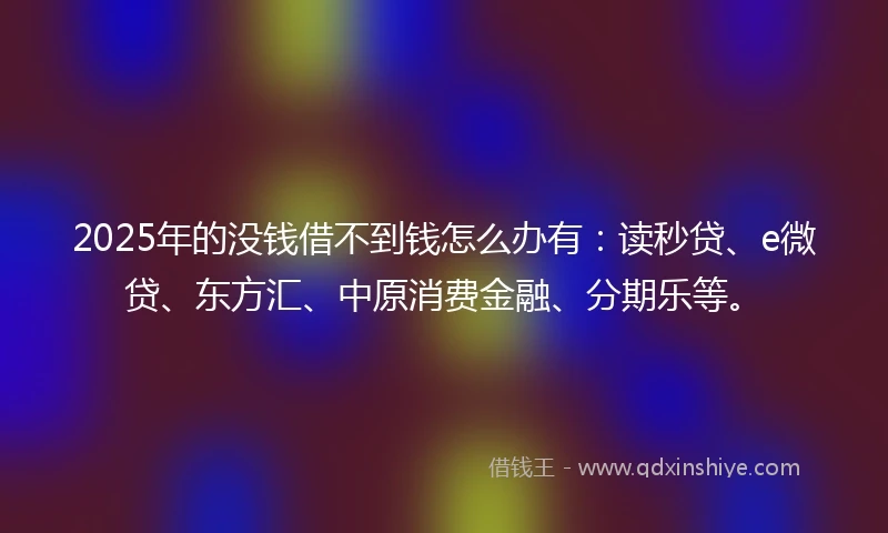 2025年的没钱借不到钱怎么办有：读秒贷、e微贷、东方汇、中原消费金融、分期乐等。