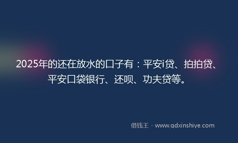2025年的还在放水的口子有：平安i贷、拍拍贷、平安口袋银行、还呗、功夫贷等。