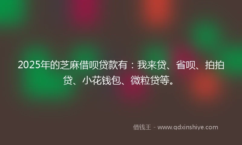 2025年的芝麻借呗贷款有：我来贷、省呗、拍拍贷、小花钱包、微粒贷等。