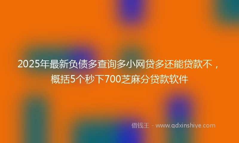 2025年最新负债多查询多小网贷多还能贷款不，概括5个秒下700芝麻分贷款软件