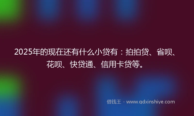 2025年的现在还有什么小贷有：拍拍贷、省呗、花呗、快贷通、信用卡贷等。