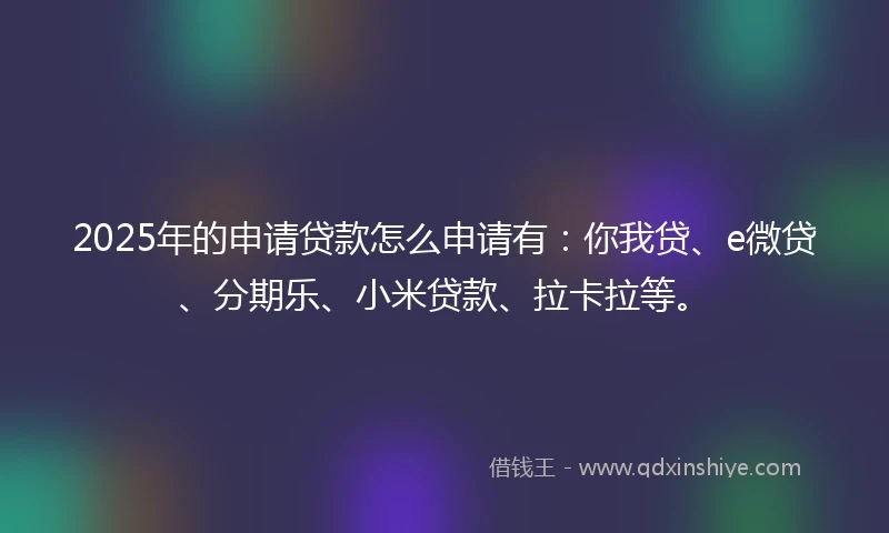 2025年的申请贷款怎么申请有：你我贷、e微贷、分期乐、小米贷款、拉卡拉等。