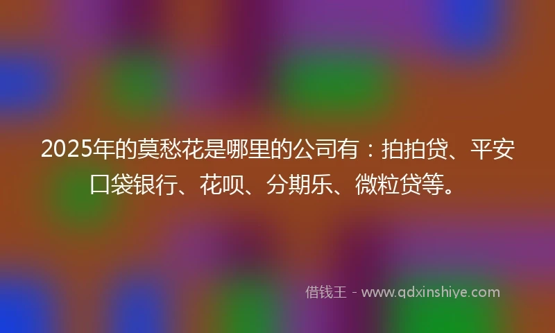 2025年的莫愁花是哪里的公司有：拍拍贷、平安口袋银行、花呗、分期乐、微粒贷等。
