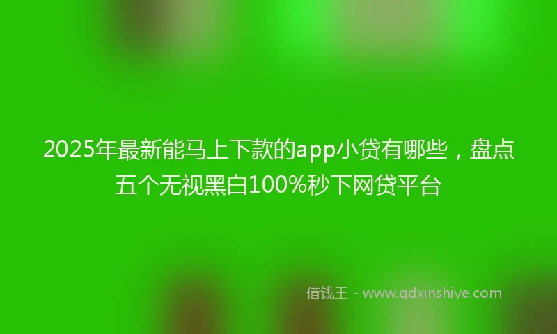 2025年最新能马上下款的app小贷有哪些,盘点五个无视黑白100%秒下网贷平台