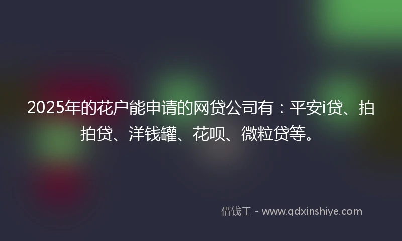 2025年的花户能申请的网贷公司有：平安i贷、拍拍贷、洋钱罐、花呗、微粒贷等。