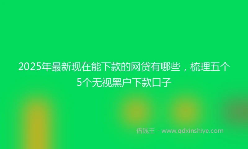 2025年最新现在能下款的网贷有哪些，梳理五个5个无视黑户下款口子
