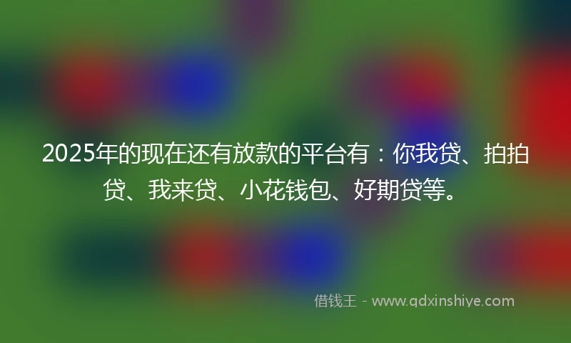 2025年的现在还有放款的平台有：你我贷、拍拍贷、我来贷、小花钱包、好期贷等。