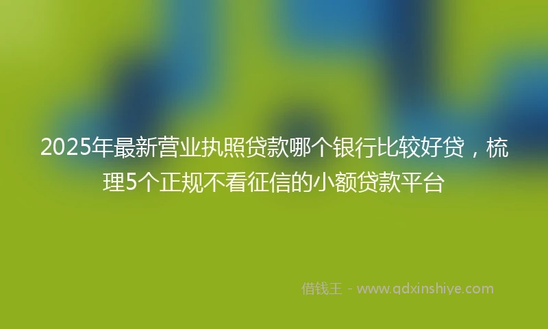 2025年最新营业执照贷款哪个银行比较好贷，梳理5个正规不看征信的小额贷款平台