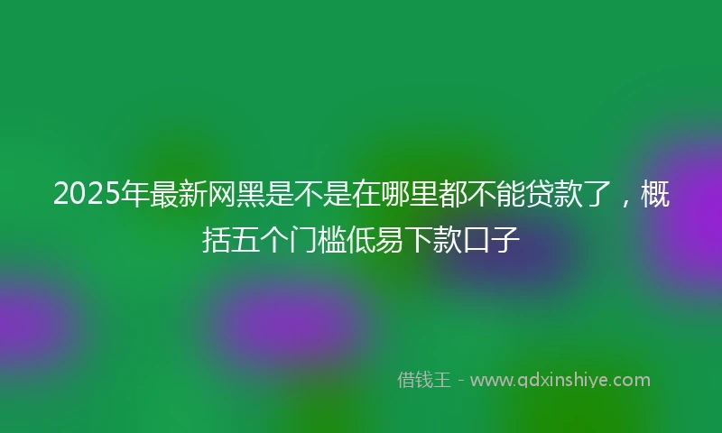 2025年最新网黑是不是在哪里都不能贷款了，概括五个门槛低易下款口子