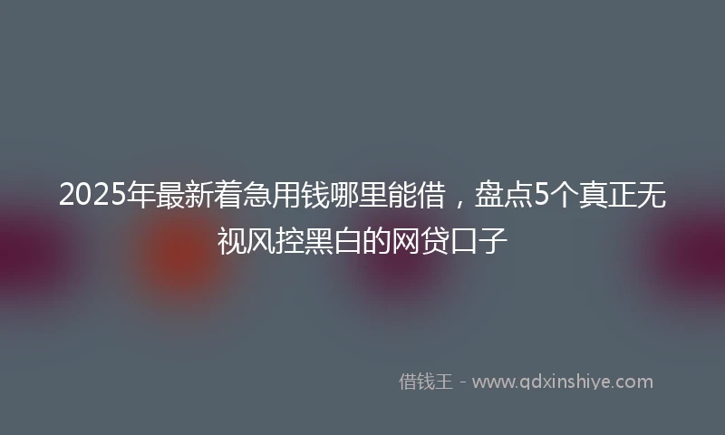 2025年最新着急用钱哪里能借，盘点5个真正无视风控黑白的网贷口子