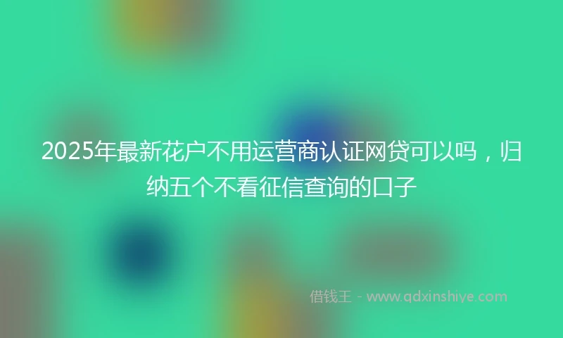 2025年最新花户不用运营商认证网贷可以吗，归纳五个不看征信查询的口子