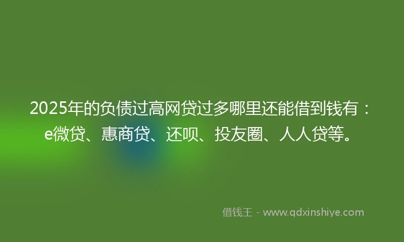 2025年的负债过高网贷过多哪里还能借到钱有：e微贷、惠商贷、还呗、投友圈、人人贷等。