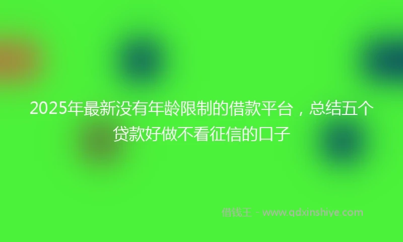 2025年最新没有年龄限制的借款平台，总结五个贷款好做不看征信的口子